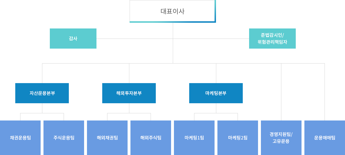 대표이사 김대환 외